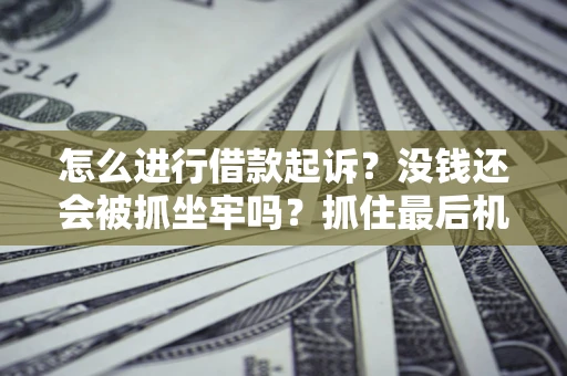 北京怎么进行借款起诉？没钱还会被抓坐牢吗？抓住最后机会！