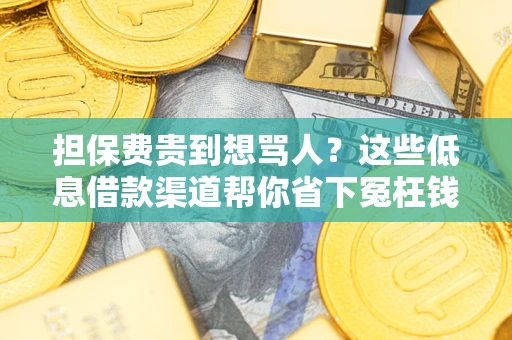 北京担保费贵到想骂人？这些低息借款渠道帮你省下冤枉钱