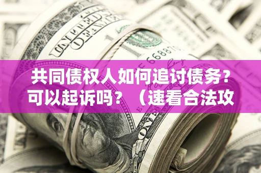 北京共同债权人如何追讨债务？可以起诉吗？（速看合法攻略）